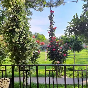https://casa-in-campagna-con-giardino-privato.albaniahotels.org